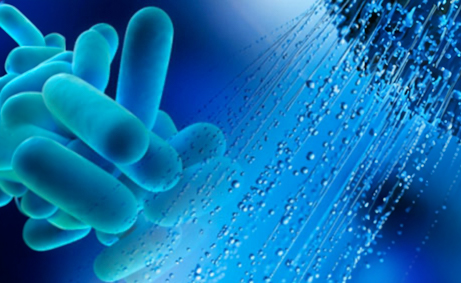 Νόσος των Λεγεωναρίων